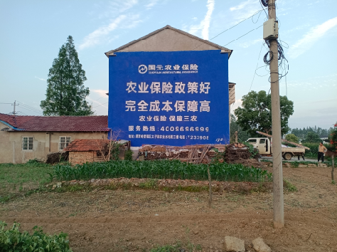 炉霍墙体广告的优劣势你知道吗？